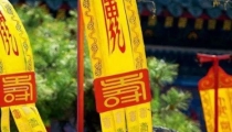 佛家讲堕胎婴灵视频
