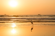 佛教牌位超度的婴灵作用，超度婴灵可以做法事