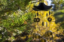 测今天的运气的背后含义