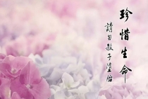 哪里超度婴灵最灵验 , 淘宝网超度婴灵的是真的吗