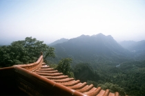 和合符效果，按法师要求去做，一般都能成功