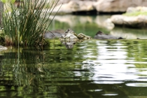 当你选择的路使你在事业上受阻，风水秘术帮你