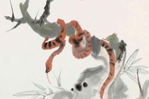 属龙男和属蛇女的婚姻状况 属蛇女的和跟属龙男的婚姻怎么样相配吗