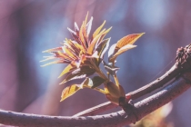 久病不愈心态崩溃 这不是医学能化解的