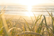 渡亡能做几次,化解对亡灵的意义