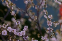 病人做噩梦是什么原因,主要是这三大因素在作怪