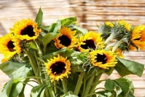 喜用神在八字合婚中重要吗 用神法是合婚的一种方法