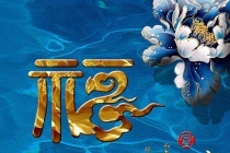 補財庫多久補一次／出馬仙補財庫用品圖片