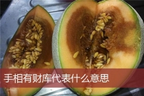 手相有财库代表什么意思