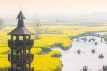 今年事业处处受阻怎么办,4招帮你走出事业低谷,咸鱼翻身