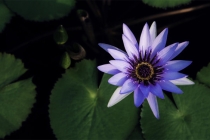 老人久病不愈怎样查死亡时间 自己看不准