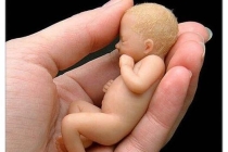 打掉一个的孩子怎么超度 , 五台山超度婴灵多少钱