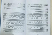 正规阴债查询表教你这样解决