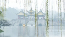 事业发展受阻怎么办,教你3个旺事业运方法,让事业腾飞