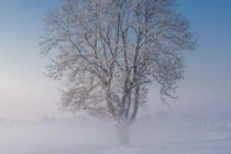 佛说2个胎停育因果，可能是前世坏事做太多