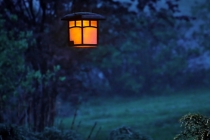 久病不愈耗伤元气 这些吉祥物调节你的元气