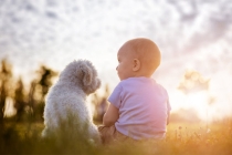 小孩惊吓低烧反复不见好，这是丢魂必须请人叫