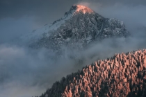 牛本命年财运差怎么办 5个方法提升财运