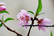 智能家居布局明细表,风水中电器的摆放运势有风水讲究
