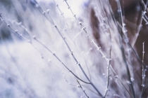 土地牌位的正确写法，这个时代还是需要供奉牌