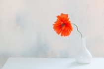 形容久病不愈心情沉重的诗句，来看看这方面的