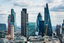 属牛女性2021年是否事业受阻 就看你有没有化解