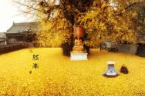 民间简单破解犯小人方法，步骤少，见效快