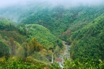 讨债的孩子面相特点,两条眉毛会连在一起