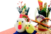 免费算2020年个人运势，用生肖来告诉你运势