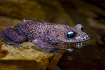 中年因情而事业受阻，风水秘方帮你转运