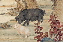 属猪人开运和改运方法