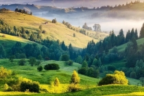 属虎开财库的三个有效方法,快速提升财运