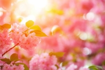 人在转运前必定要倒霉，这些转运之法分享给你