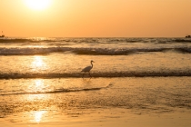 烟供材料都有哪些？用面粉做烟供的材料