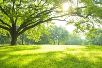 运气一直不好 在家中就能找到原因