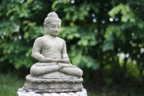 真的有因果报应吗？详细解析因果报应果报