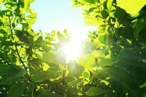 自然胎停还阴债要找到专业的人吗？