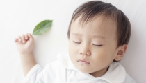 超度婴灵都该做些什么 , 在寺院超度婴灵的步骤