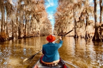 转自倾莲池  如何超度亡亲和堕胎孩子？他诵此经将树神超度到普陀山净土，成为观世音菩萨的眷属