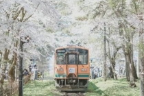 故宫布局风水,传统风水解析北京故宫风水格局