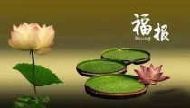 三次坠胎后怎么还阴债 , 坠胎婴儿超度念什么咒