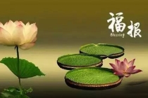 三次坠胎后怎么还阴债 , 坠胎婴儿超度念什么咒