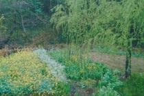 搬家风水讲究有哪些,近期需要搬家的朋友需要注意了