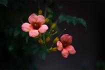 周公解梦告诉你梦见男朋友事业受阻意味着什么