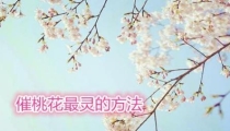 催桃花最灵的方法