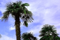 总是做噩梦被追杀,常见的6种梦境解读