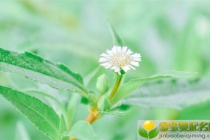 有财库手相的人财运未必好