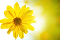 还阴债多久起效果，怎么知道还阴债是否成功