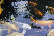 前世今生的因果关系，真的存在吗？了解一下