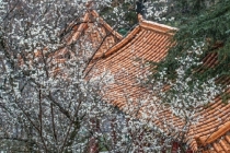 如何辟邪,常用的辟邪之法分享,帮你避免邪祟缠身